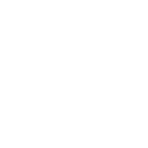 Lightning arrester