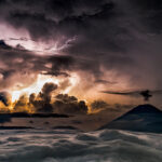 image-gallery8